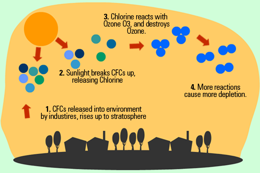 ozone-depletion-process