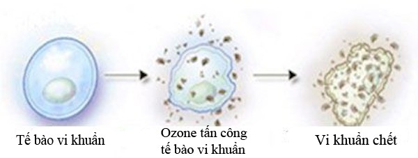 ozone-tan-cong-diet-vi-khuan,-virus